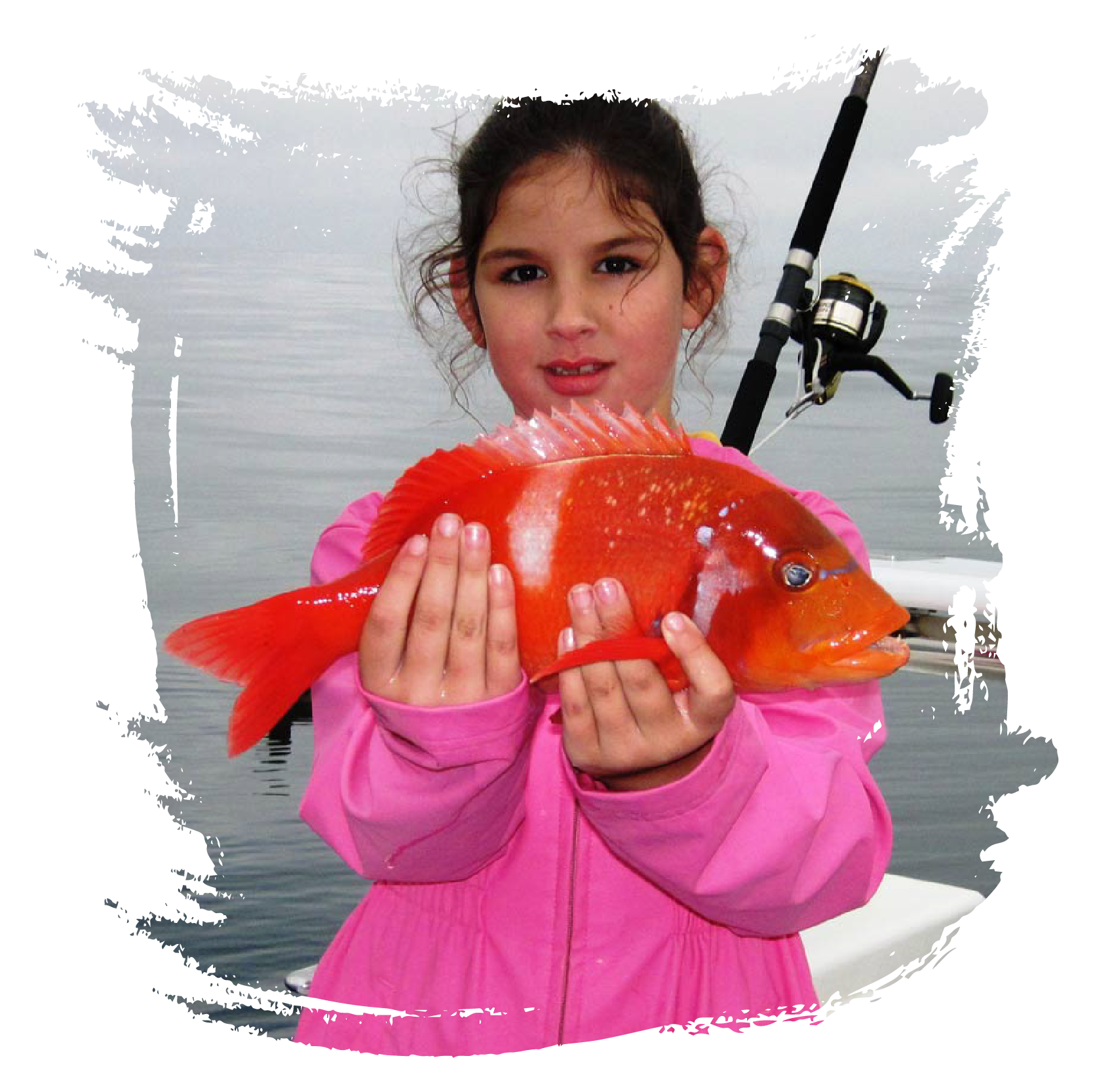 Charters – Big Blue Sport Fishing Charters Cape Town