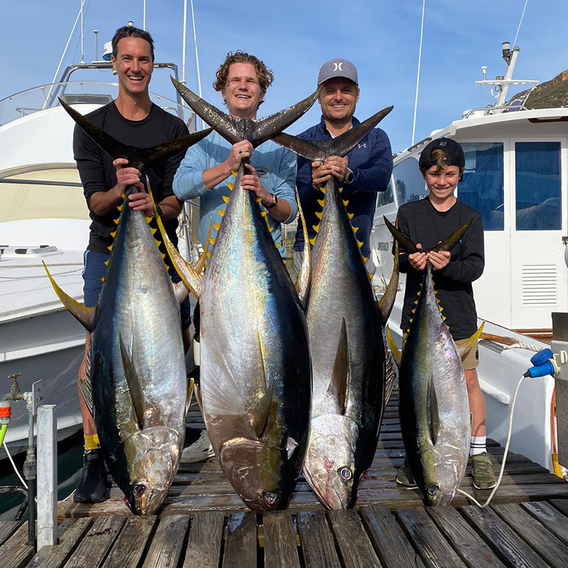 bigblue-fishing-charters-fish-caught7
